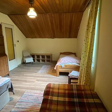 Myśliwski Vegas *