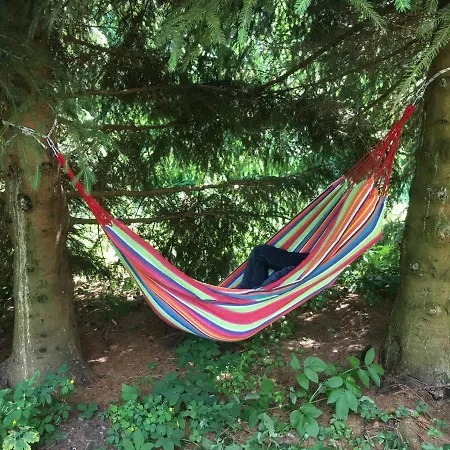 Mysliwski Vegas Semesterbostad