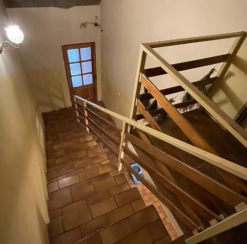 펜션 Mysliwski Vegas *