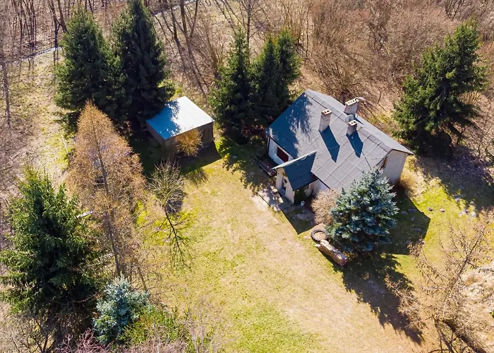 بيت للعطل Mysliwski Vegas *