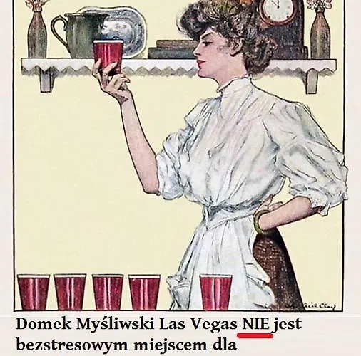 Mysliwski Vegas * Mierzyn (Greater Poland)