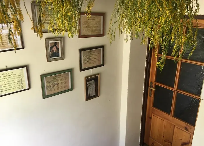 Mysliwski Vegas بيت للعطل *