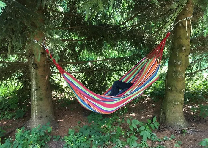 Mysliwski Vegas 펜션